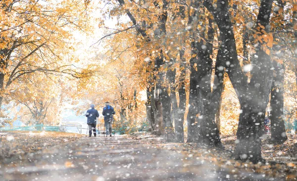 初雪の秋の公園 — ストック写真