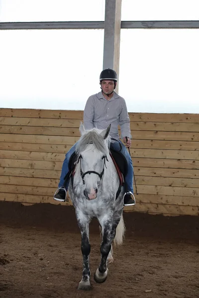 People on a horse training in a wooden arena