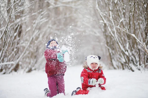 Giovani famiglie con bambini camminano nel parco invernale. Winte — Foto Stock