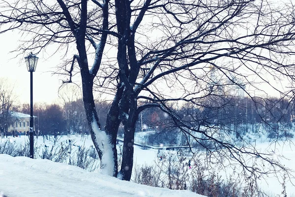 Via e albero della luce invernale — Foto Stock