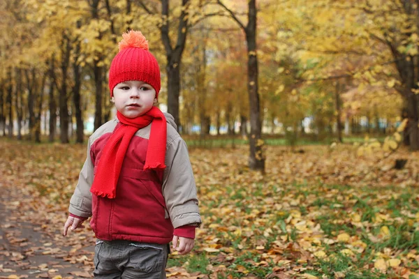 Les enfants marchent dans la nature. Les enfants du crépuscule se promènent — Photo