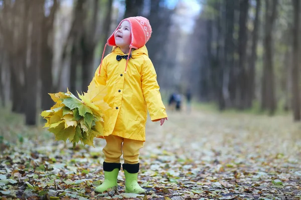 Los niños están caminando en el parque de otoño —  Fotos de Stock