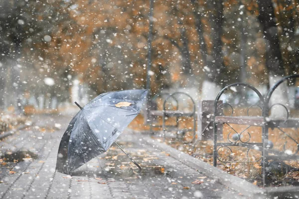 Parco autunnale nella prima neve — Foto Stock