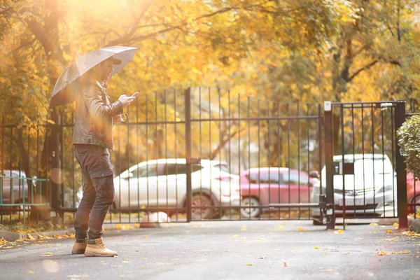 Herbst Hintergrund im Park — Stockfoto