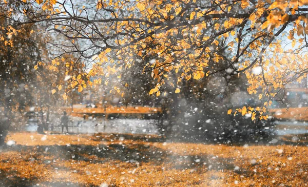 初雪の秋の公園 — ストック写真