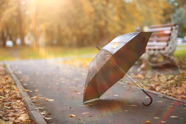 Őszi háttér a parkban — Stock Fotó