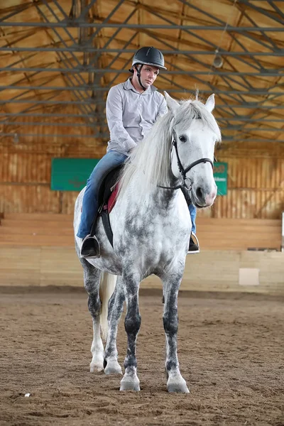 People on a horse training in a wooden arena