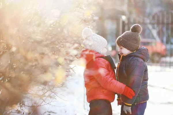 Simpatici Bambini Abiti Caldi Che Giocano Nel Parco Invernale — Foto Stock