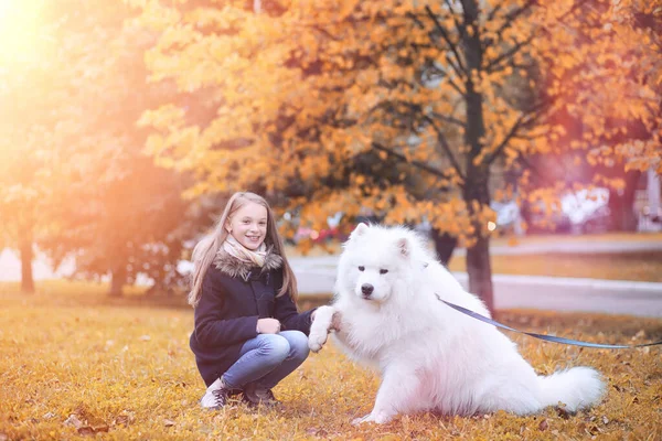 屋外の公園で美しい犬との散歩に素敵な女の子 — ストック写真