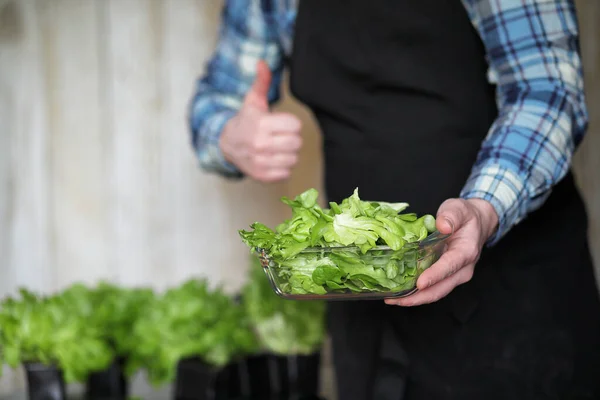 Pria dengan celemek dan sarung tangan memegang semangkuk salad hijau segar — Stok Foto
