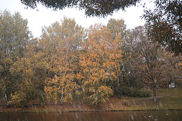 Pluie d'automne dans le parc — Photo