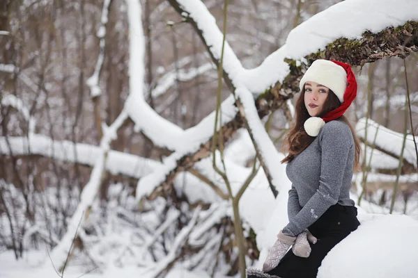 Una ragazza in un parco invernale a fare una passeggiata. Vacanze di Natale in t — Foto Stock