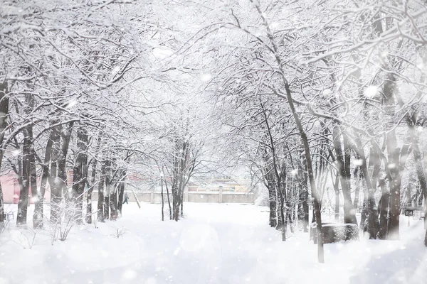 Winterlandschaft. Wald unter dem Schnee. Winter im Park. — Stockfoto