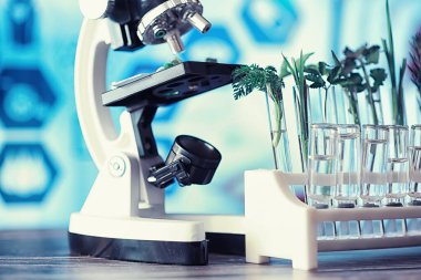 Mikroskop ve test bölümleri laboratuvardaki masanın üzerinde..