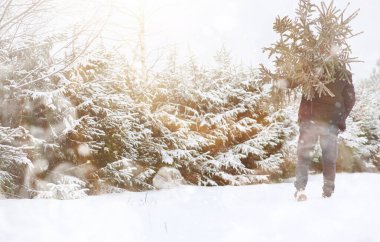 Sokakta kesilmiş bir Noel ağacı olan bir adam. N için Hazırlık