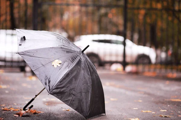 Őszi esős park október — Stock Fotó