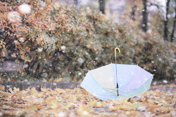 Barn vandring i parken första snön — Stockfoto