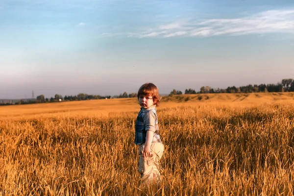 Children outdoors in a field — Stock Photo, Image