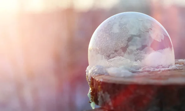 Las burbujas de jabón se congelan en el frío. Invierno agua jabonosa se congela en t — Foto de Stock