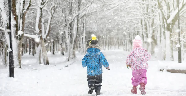 Zimowy park pod śniegiem. Burza śnieżna w parku miejskim. Park f — Zdjęcie stockowe