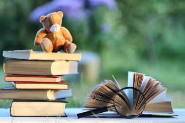 educaion kitap yığın sayfa açık