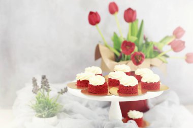 Güzel Festival pasta ile farklı kremler bisküvi