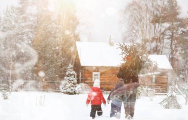Sokakta kesilmiş bir Noel ağacı olan bir adam. N için Hazırlık