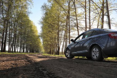 Yatay yaz mevsimindeyiz. Yeşil ağaç ve otların arasında kırsal arazi