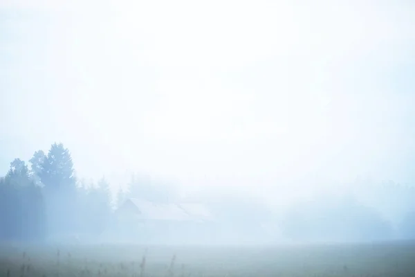 Dimma i fält. Kvälls natur sommar med vit dimma. — Stockfoto