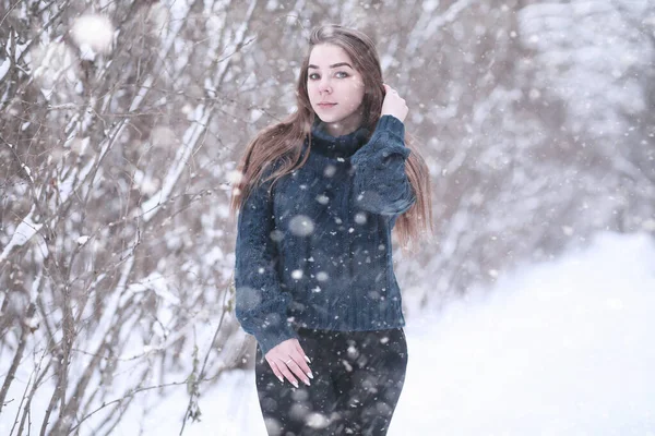 Chica en un parque de invierno en las nevadas —  Fotos de Stock