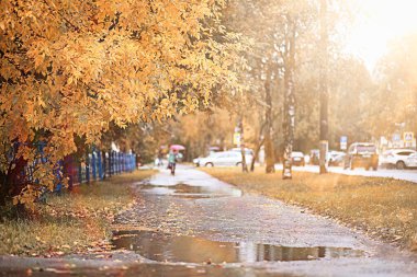 parkta sonbahar yağmur