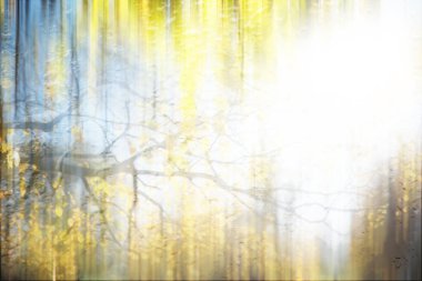 Yağmurlu bir günde sonbahar parkının bulanık görüntüsü 