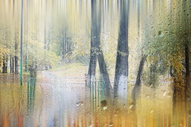 Park arka plan Sonbahar yağmur