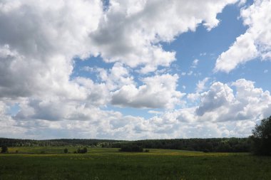 Yatay yaz mevsimindeyiz. Yeşil ağaç ve otların arasında kırsal arazi