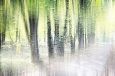 Parkta arka plan bahar yağmuru