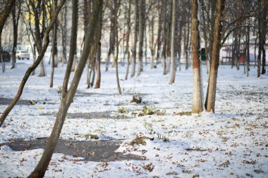 Winter Park 'ta. Karlı havada manzara manzarası. Ocak.