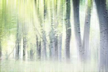 Yağmurlu bir günde sonbahar parkının bulanık görüntüsü