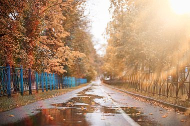 parkta sonbahar yağmur