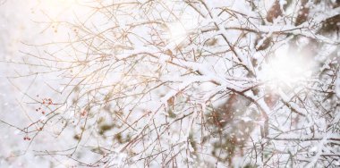 Winter Park 'ta. Karlı havada manzara manzarası. Ocak.