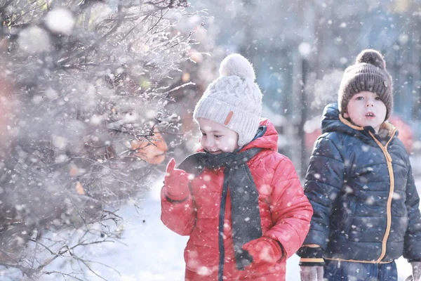 子供たちは公園の最初の雪の中を歩く — ストック写真