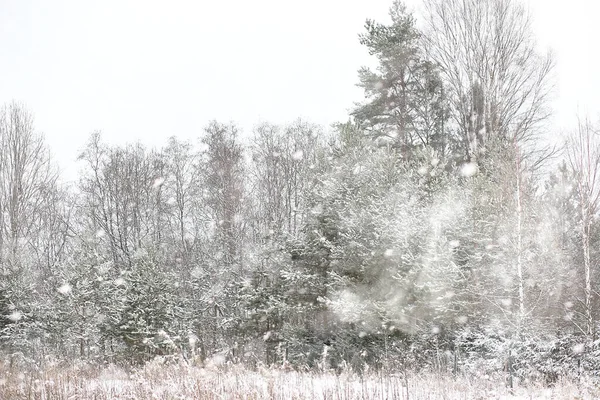 Зимний пейзаж сельских полей и дорог — стоковое фото