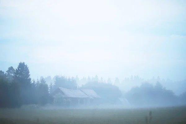 Dimma i fält. Kvälls natur sommar med vit dimma. — Stockfoto