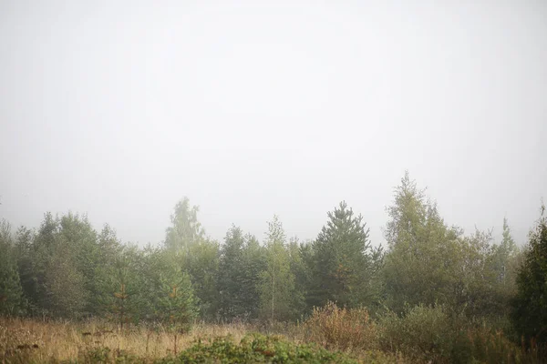 Slutet av sommarsäsongen i parken — Stockfoto