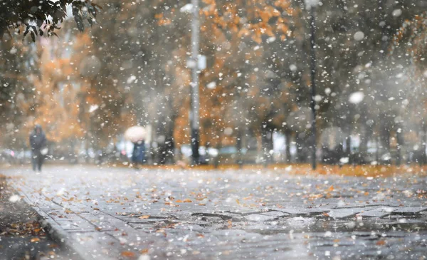 Parque de outono na primeira neve — Fotografia de Stock