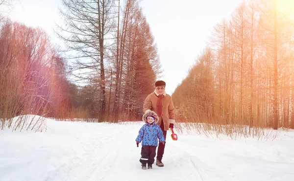 Parque de invierno bajo la nieve. Enero mañana caminar a través de la para — Foto de Stock