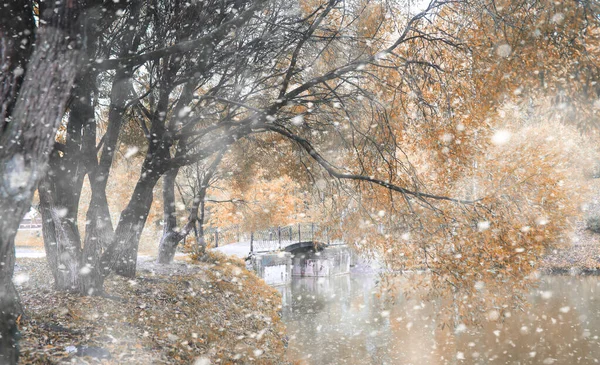 Őszi park az első hóban — Stock Fotó