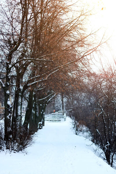Alley pathway park winter