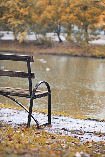 Podzimní déšť v parku — Stock fotografie
