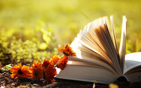 Sarı sonbahar açık kitap 