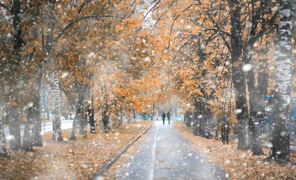 初雪の秋の公園 — ストック写真